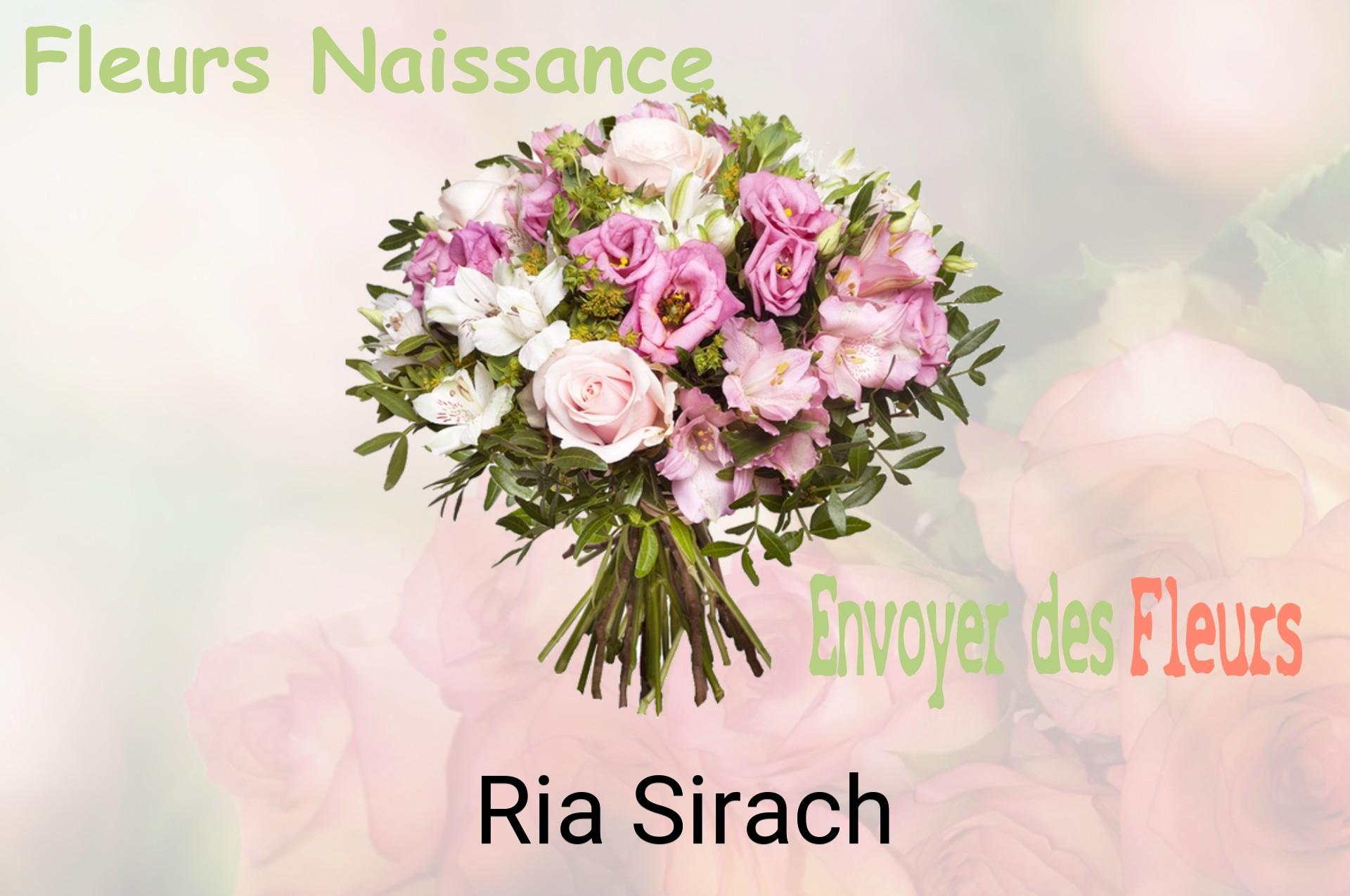 Bouquet de fleurs de naissance livré à Ria-Sirach